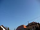 Třibřichy